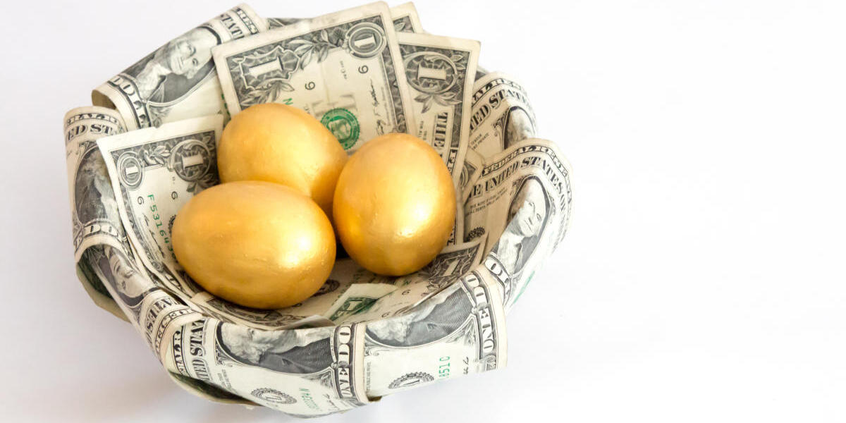 Don't Put All Your Eggs In One Basket: Why Two Companies Are Better Than One